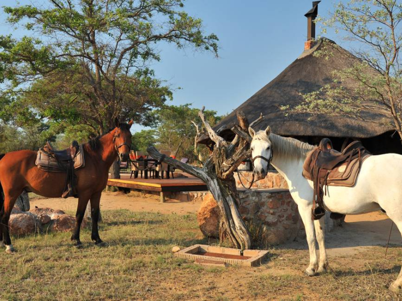 Horse Riding Safari